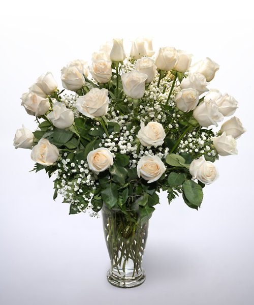 48 White Roses Vased