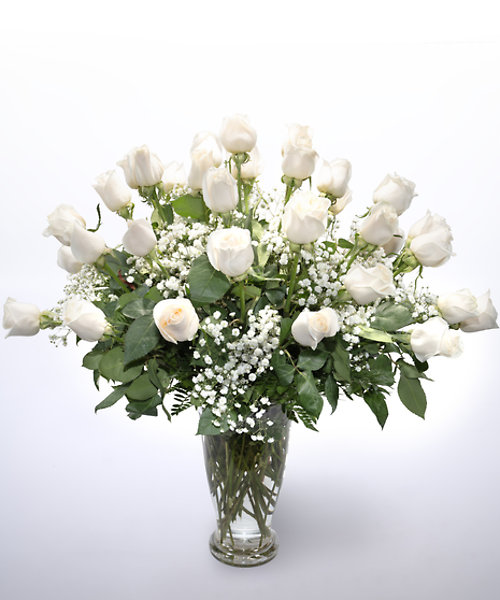 36 White Roses Vased