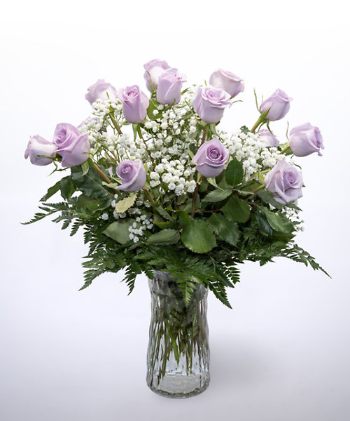 12 Purple Roses Vased