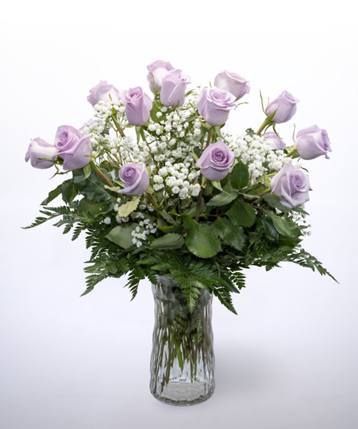 12 Purple Roses Vased
