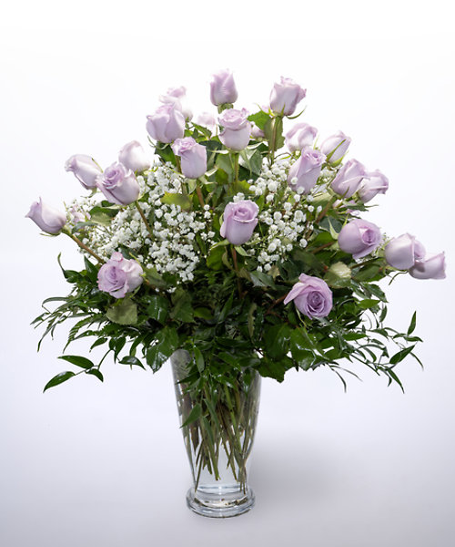 36 Purple Roses Vased