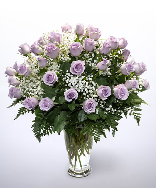 48 Purple Roses Vased