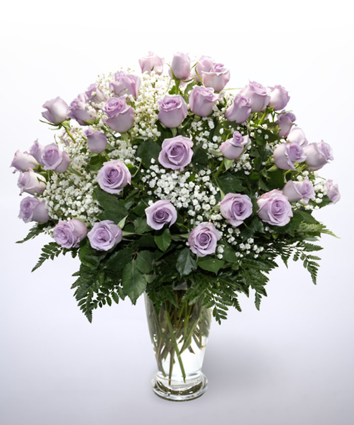 48 Purple Roses Vased