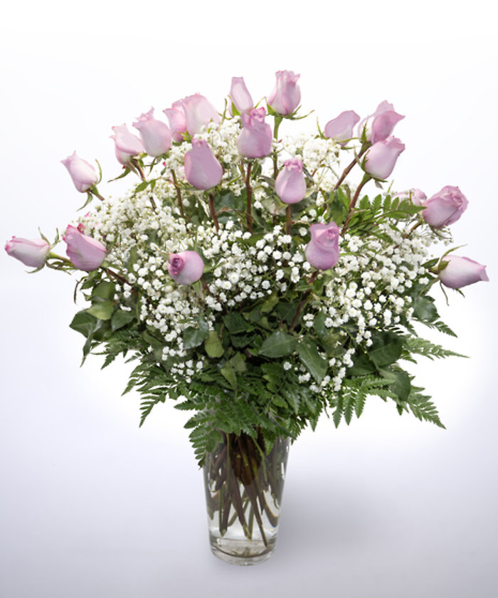 24 Purple Roses Vased