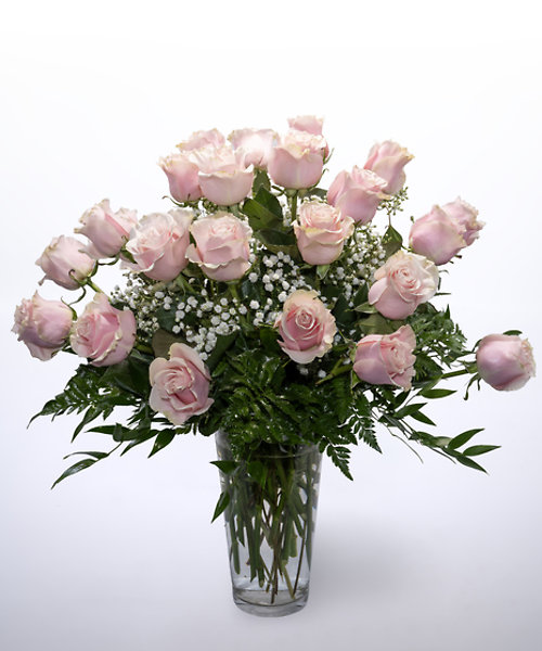 24 Pink Roses Vased