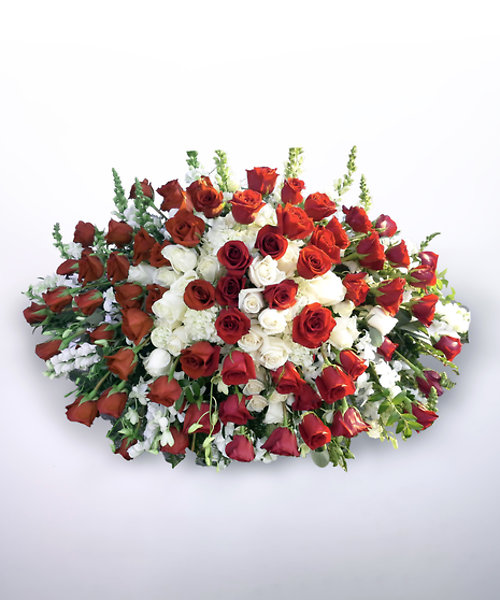 Red & White Rose Reverence Casket Cover