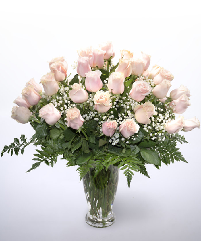 48 Pink Roses Vased