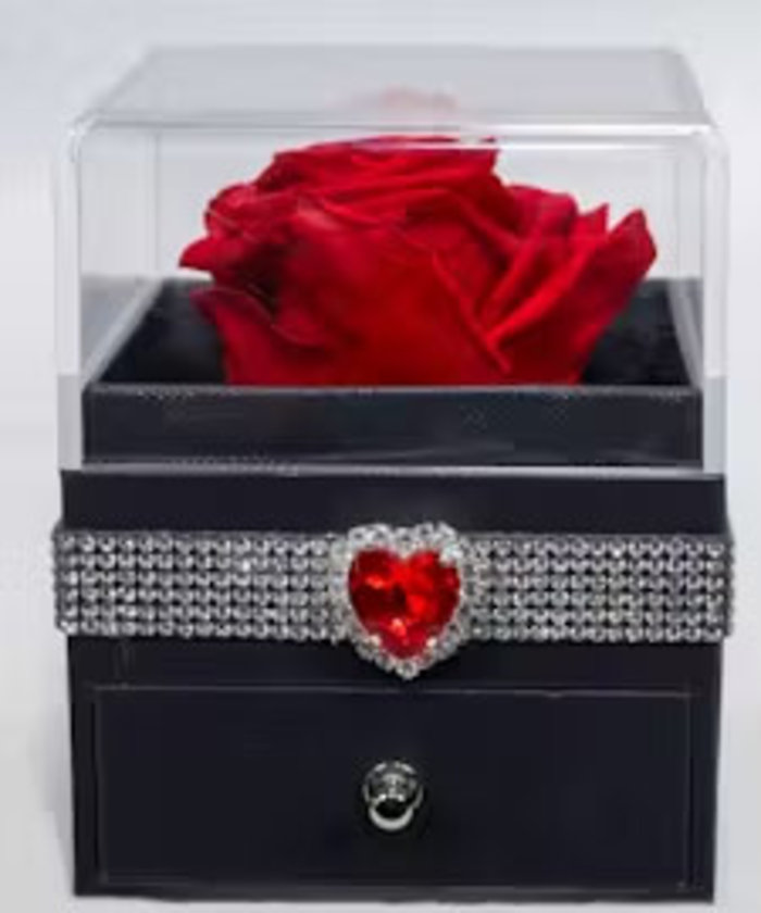 Preserved Single Rose Acrylic Box