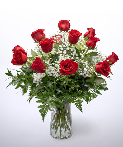 12 Red Roses Vased